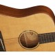 Washburn WD160SW Guitarra Acústica 