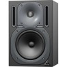 Behringer Truth B2030P Monitor de Estudio Pasivo