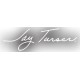 Jay Turser JT-220D-TE Guitarra Eléctrica
