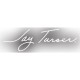 Jay Turser JT-300-IV Guitarra Eléctrica