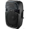 MRS PP215AUS Parlante Amplificado de 15"