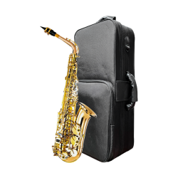 Risetone JBAS-1010L Saxo Alto Lacqer Gold Brass