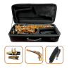 Risetone JBAS-1010L Saxo Alto Lacqer Gold Brass